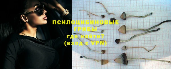 винт Козловка