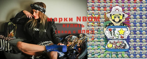 стаф Кодинск