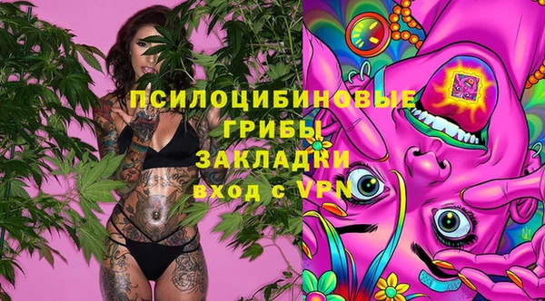 меф Козельск