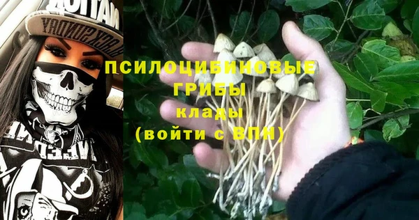 стаф Кодинск