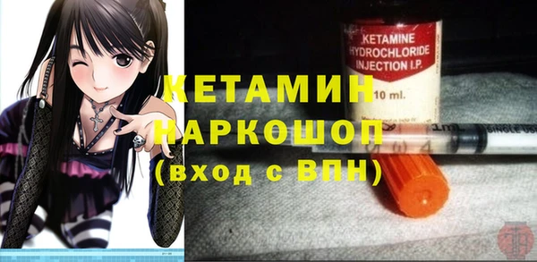 стаф Кодинск