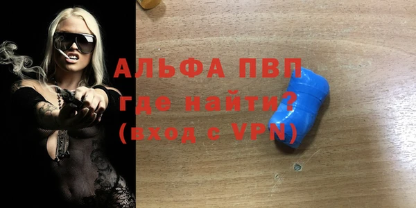 стаф Кодинск