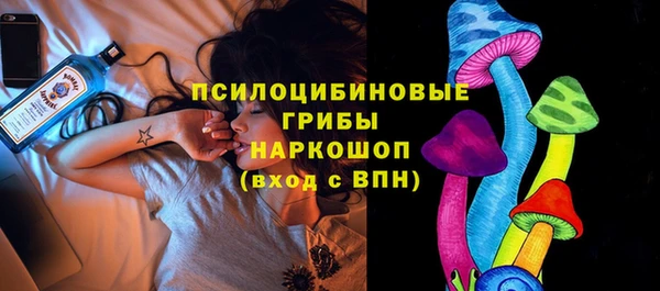 винт Козловка
